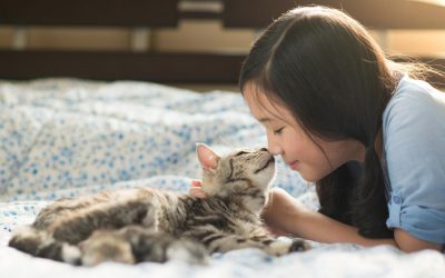 Linguagem dos gatos