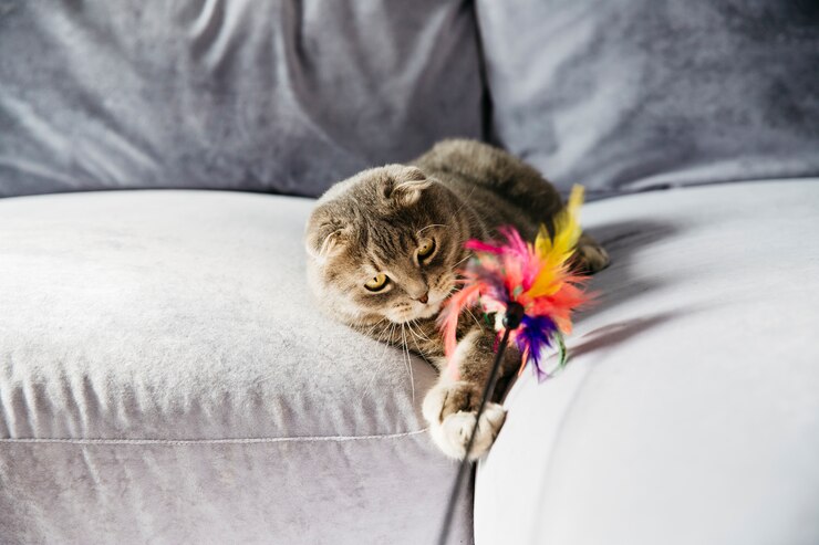 Como fazer brinquedo para gatos – Dicas pet