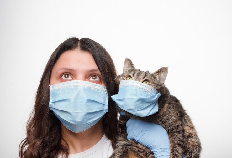 Infecção por coronavírus em gatos – Saiba tudo agora!