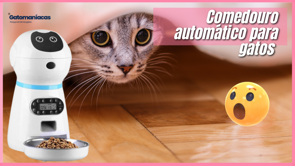 Comedouro automático para gatos: Veja os melhores modelos