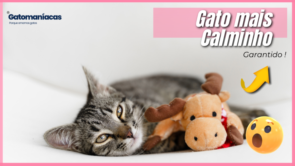 Brinquedos para gatos agitados: Veja os melhores aqui.